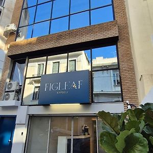 Figleaf Kypseli